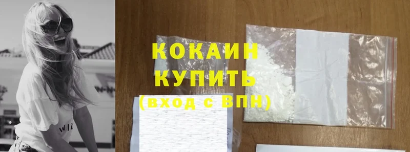 Cocaine FishScale  купить наркотик  Луга 