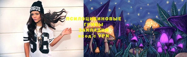 молекула духа Наволоки