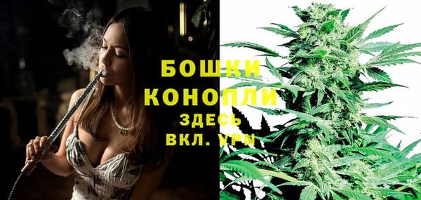 молекула духа Наволоки