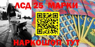 гашик Жуковский