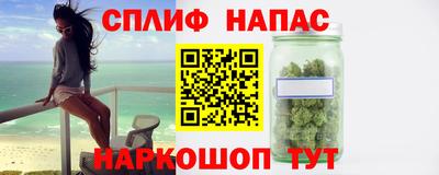 гашик Жуковский