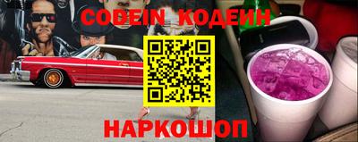 гашик Жуковский