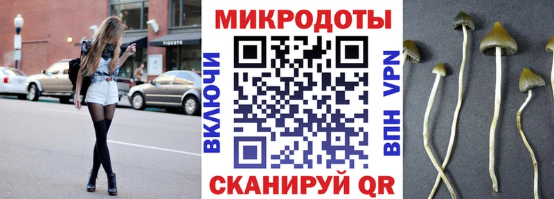shop состав  Луга  Галлюциногенные грибы мицелий 