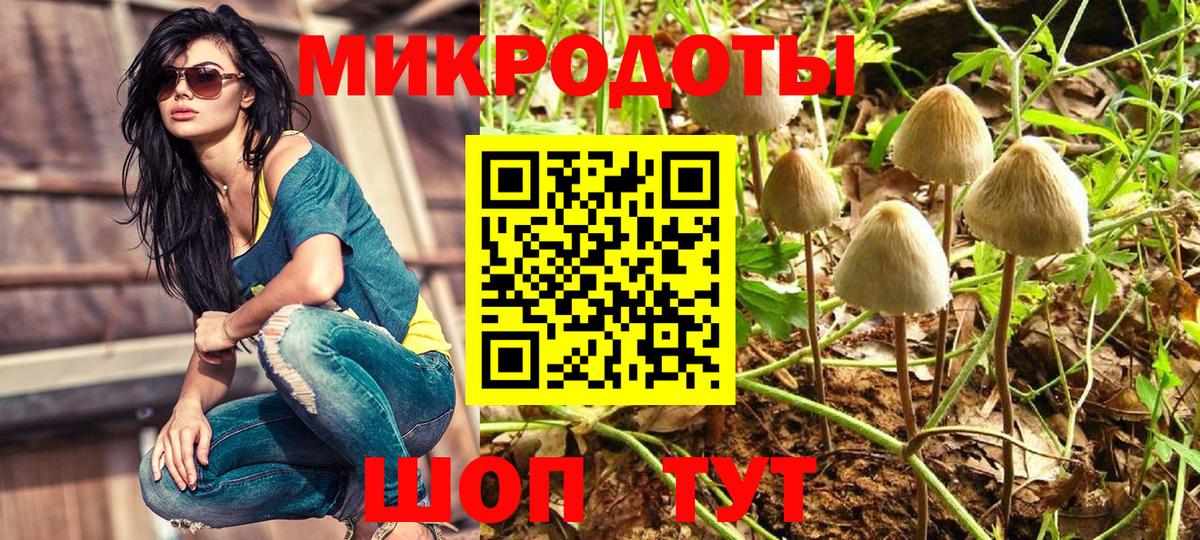Псилоцибиновые грибы GOLDEN TEACHER Луга