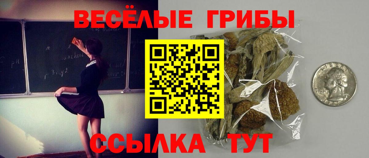 Луга  цены   Вход с VPN  Псилоцибиновые грибы Psilocybe 