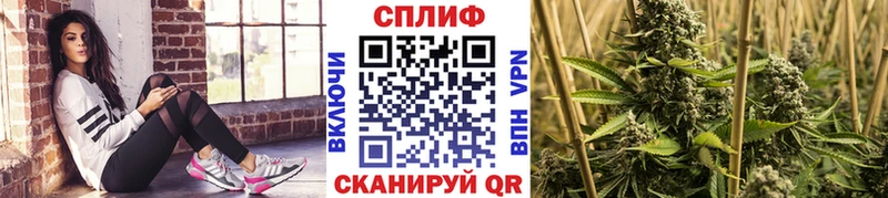 Бошки марихуана VHQ Луга
