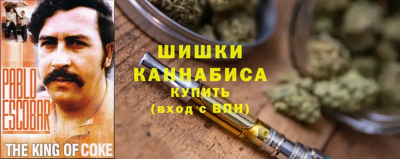 Каннабис планчик  Луга 